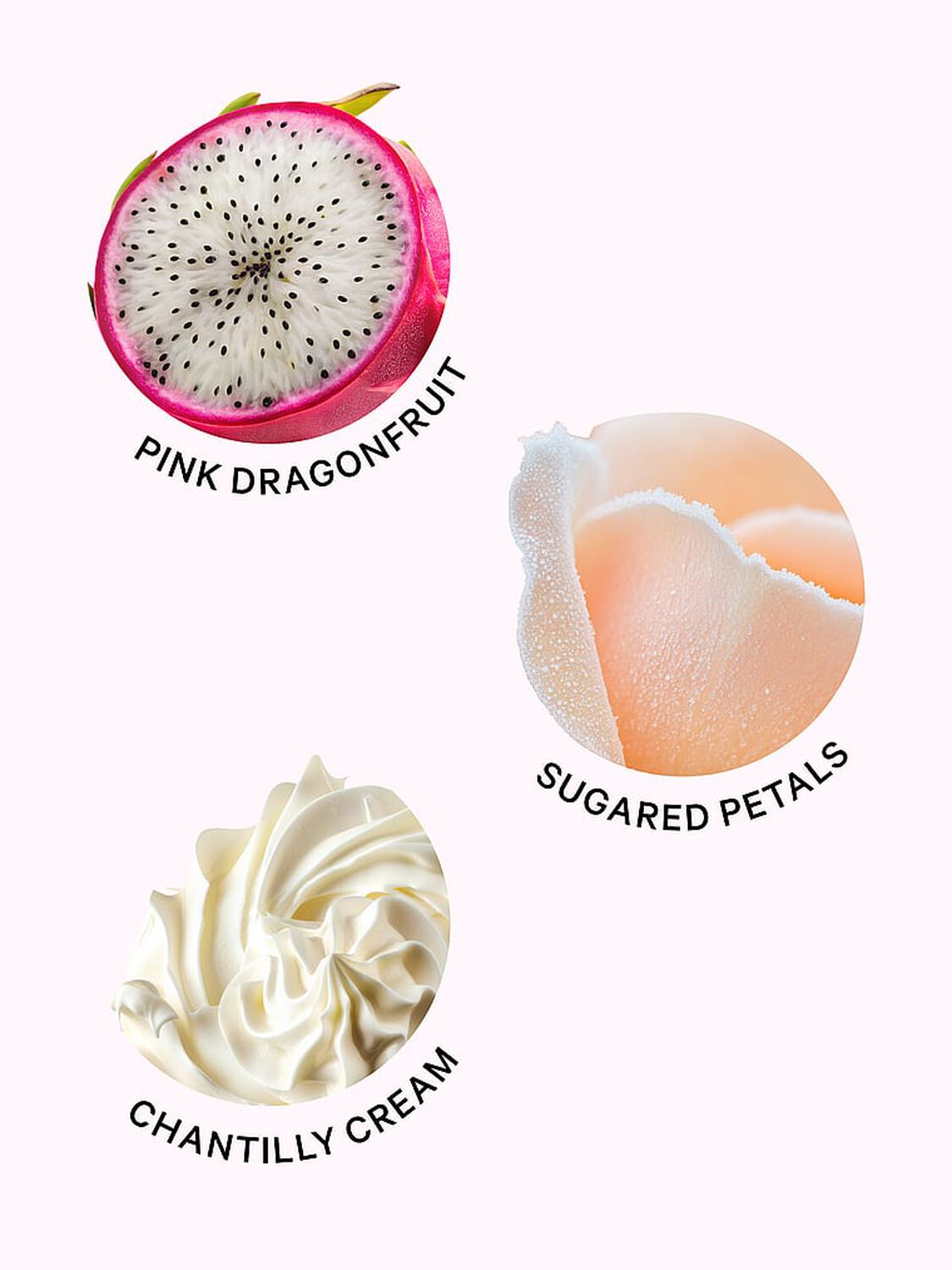 beauty Fine Fragrance SHINE by PINK Eau de Parfum 7 ml Shine By Pink 3 of 4 