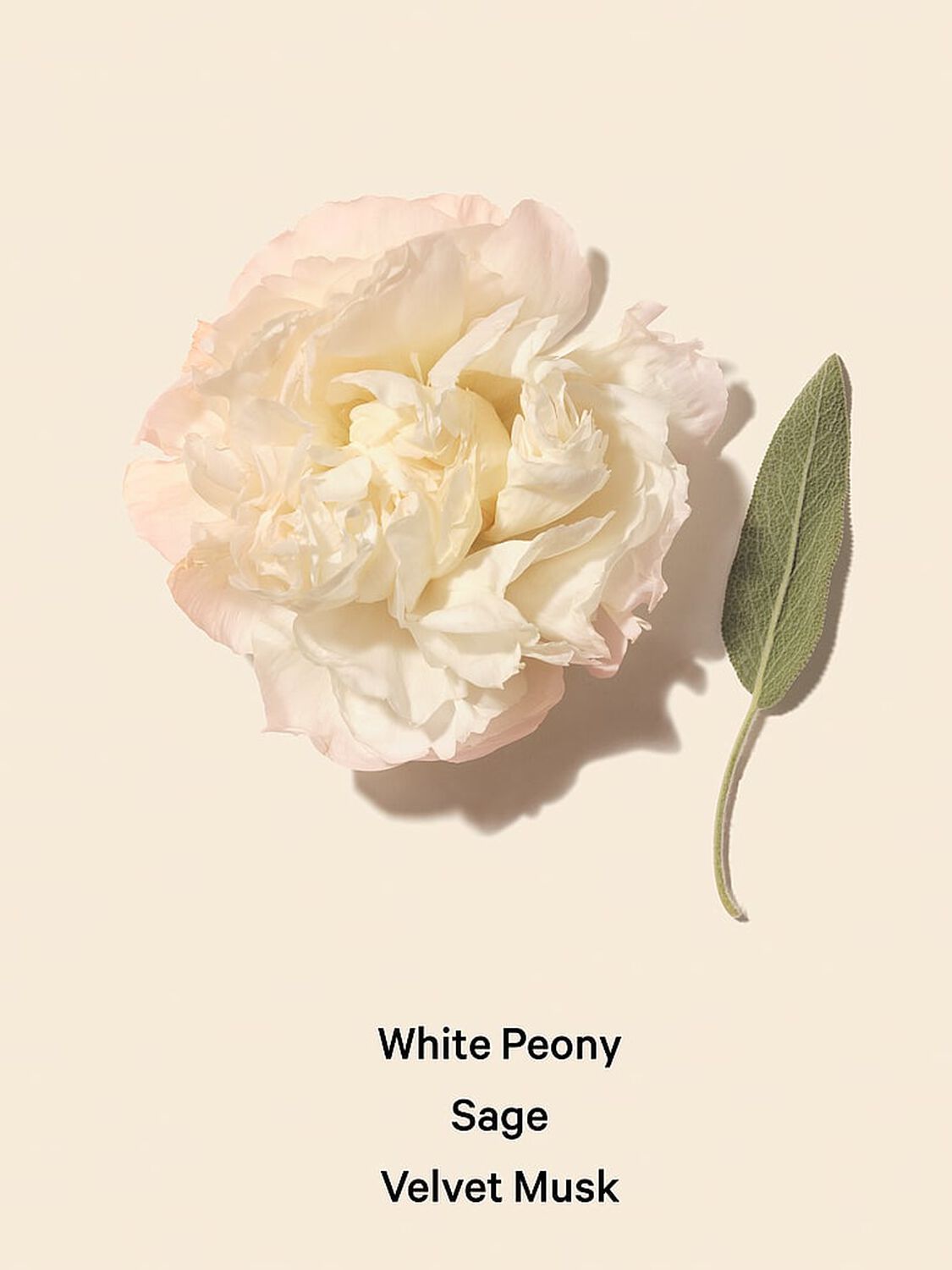 beauty Fine Fragrance Bombshell Seduction 3.4 oz Bombshell Seduction 3 of 3 