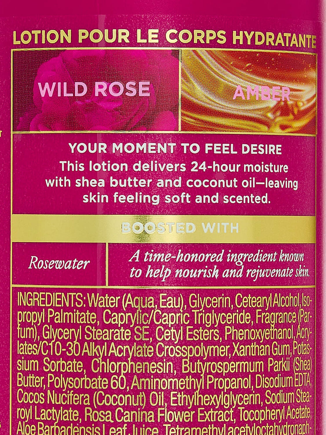 beauty Body Care Wild Rose Amber Hydrating Body Lotion Wild Rose Amber 2 of 2 