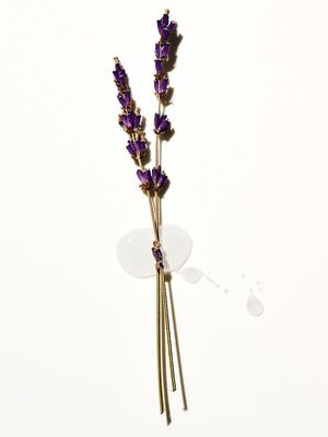 Lavender Body Wash 236ML