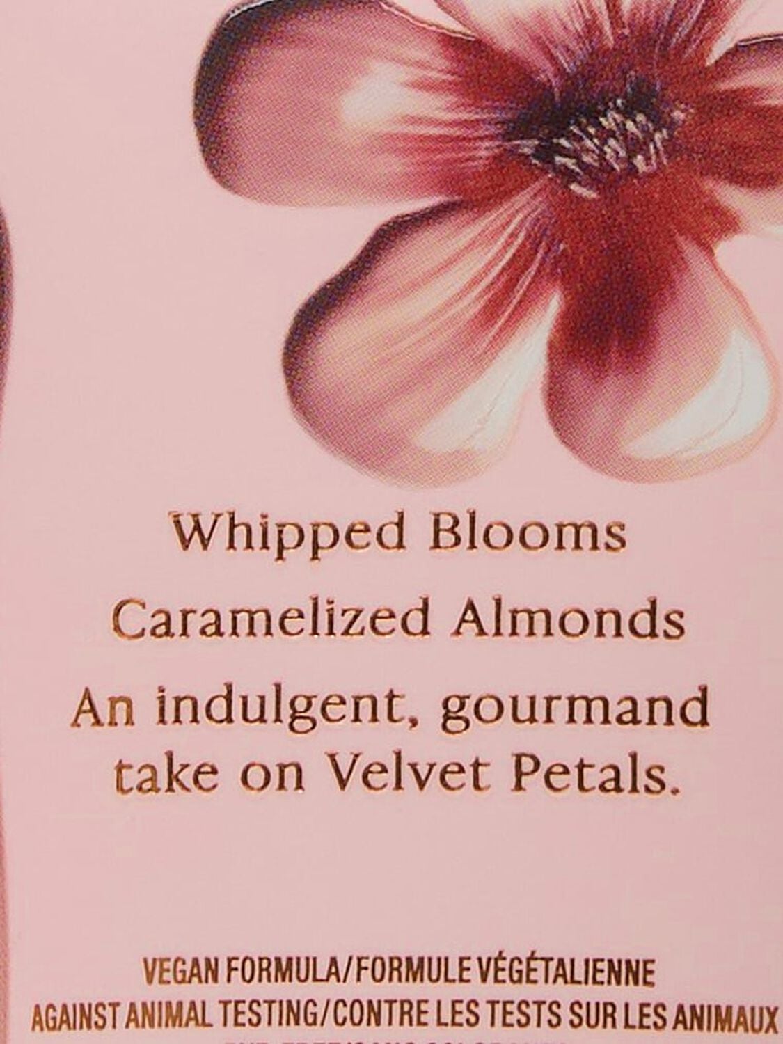 beauty Body Fragrance Velvet Petals Brulee Fragrance Lotion Velvet Petals Brulee 2 of 2 