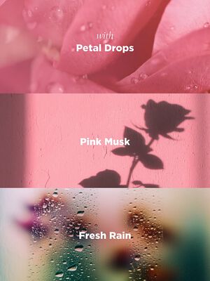 Midnight Vanilla Scented Room Spray