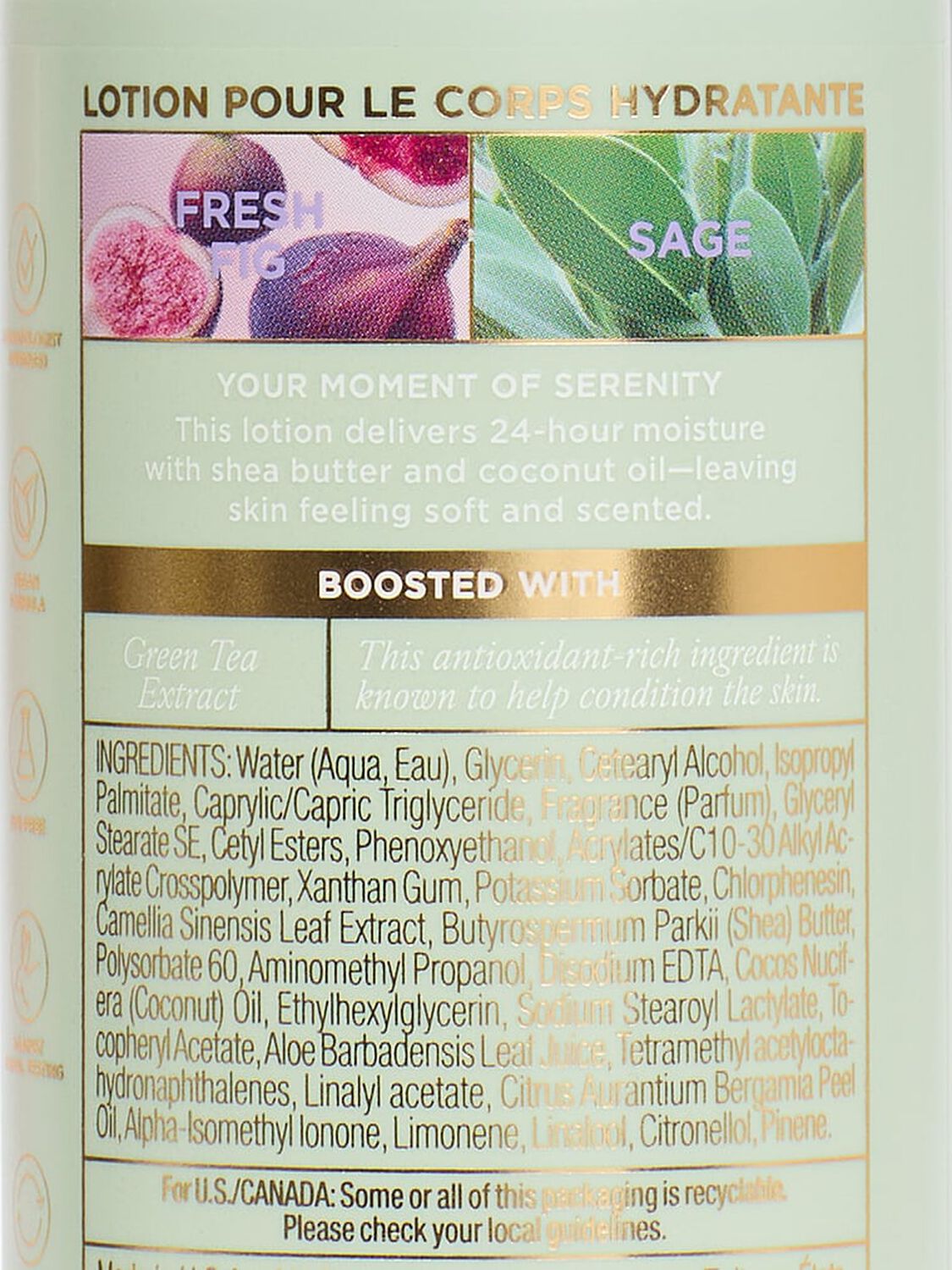 beauty Body Care Fresh Fig Sage Body Lotion 296 ml Fresh Fig Sage 2 of 4 