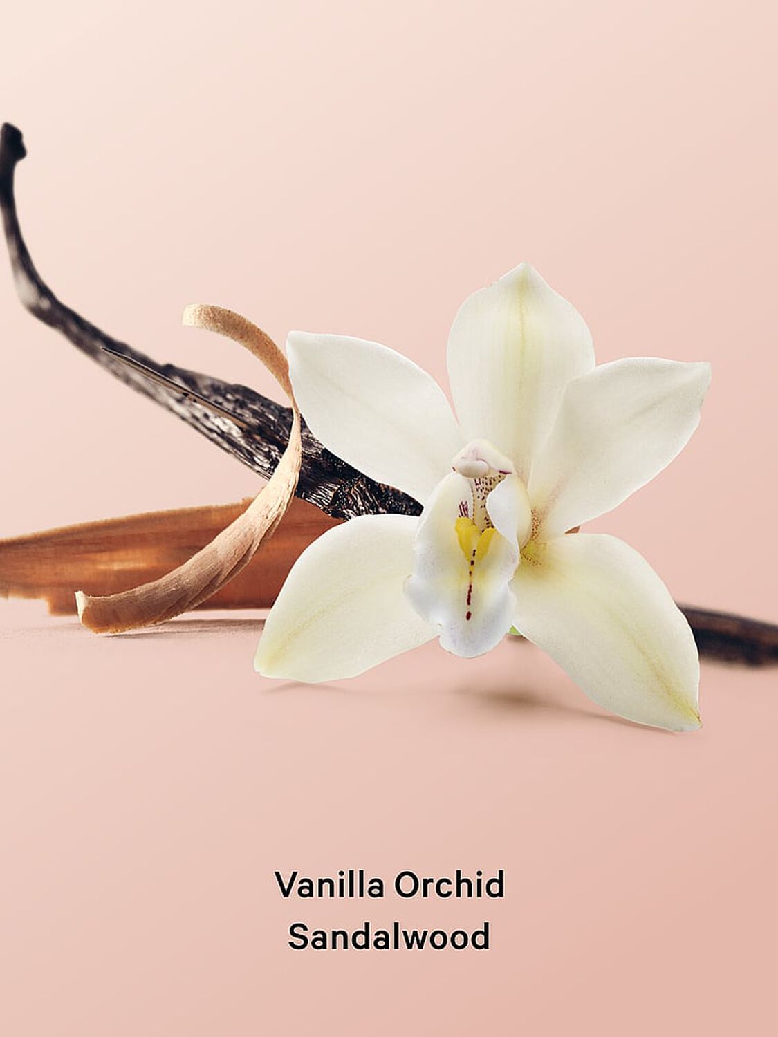 beauty Body Care Vanilla Orchid Sandalwood Cream Body Wash 296 ml Vanilla Orchid Sandalwood 4 of 4 