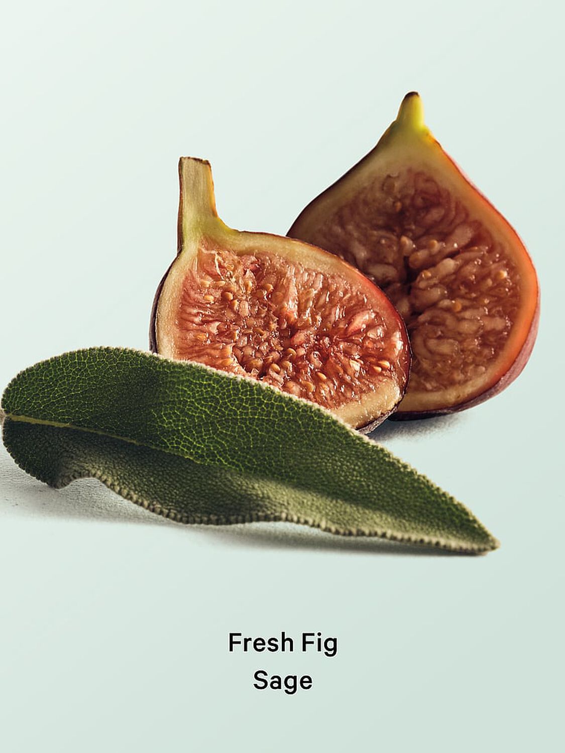 beauty Body Care Fresh Fig Sage Hair & Body Mist 236 ml Fresh Fig Sage 2 of 2 