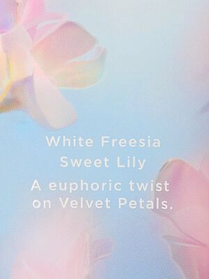 Pure Seduction Bliss Fragrance Lotion