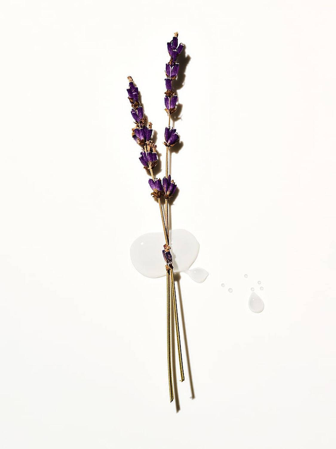 beauty Body Care Lavender Mini Body Lotion Lavender 2 of 3 
