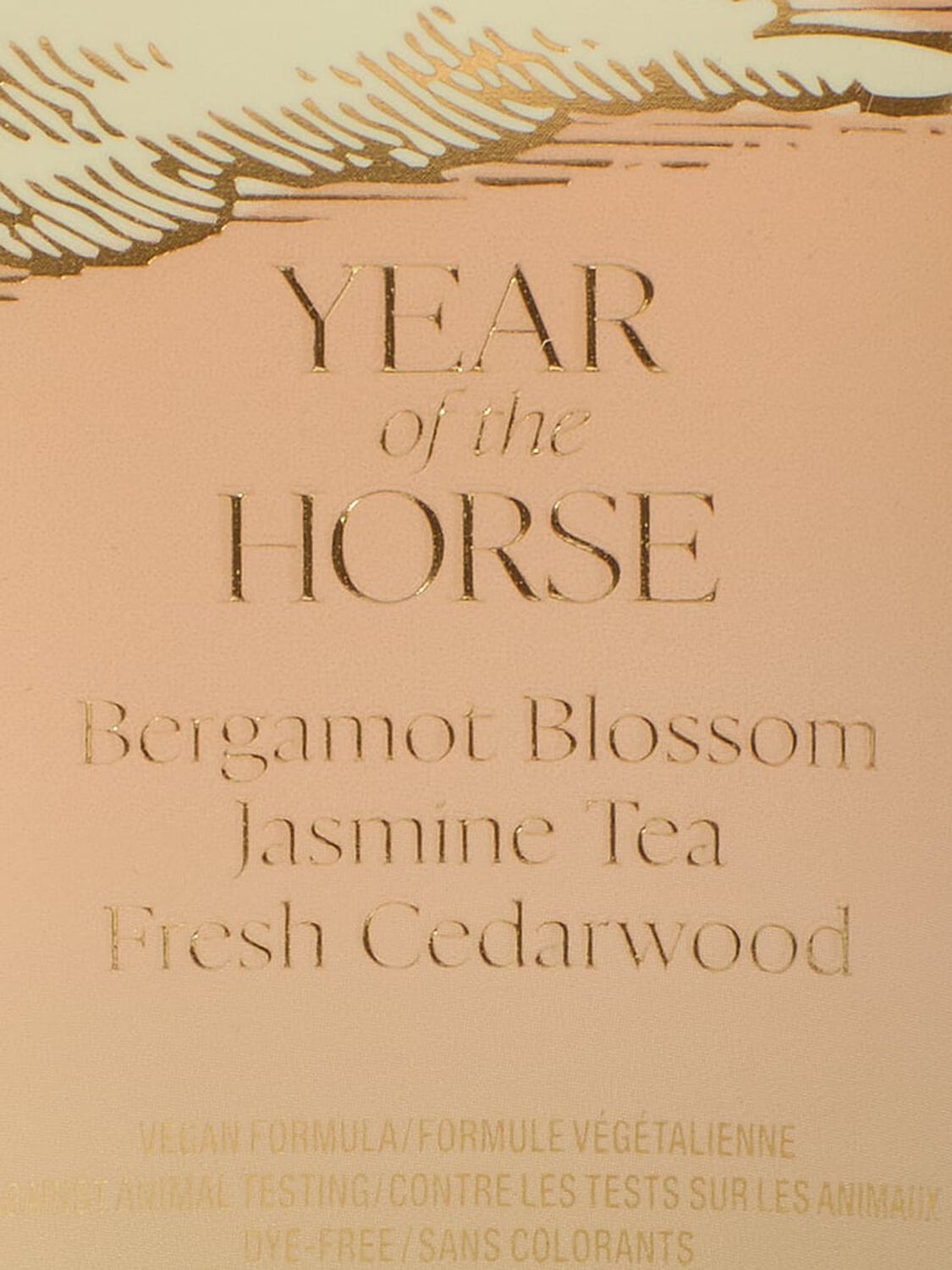 beauty Body Fragrance Jasmine Tea Sunrise Fragrance Lotion 236ml Jasmine Tea Sunrise 2 of 2 