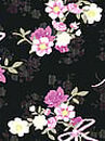 Cotton Cheeky Panty, Black Floral Bow, swatch