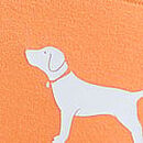 Seamless Hiphugger Panty, Vitamin C Dog Graphic, swatch