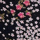 Cotton Lace-Trim Low-Rise Cheeky Panty, Noir Navy Floral Print, swatch