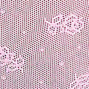 No-Show Hiphugger Panty, Pink Lollipop, swatch