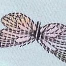 PINK Wink&trade; Lace-Trim Cheeky Panty, Blue Multicolor Butterfly Print, swatch