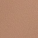 No-Show Thong Panty, Praline, swatch