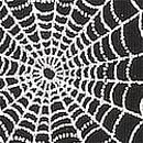 Cotton Cheeky Panty, Pure Black Halloween Foil Spider Web Print, swatch