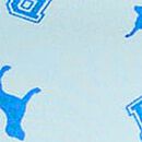 No-Show Cheeky Panty, Stream Blue Logo Dog, swatch