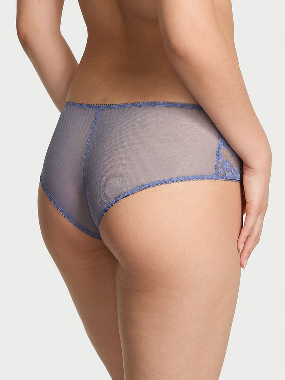 vs Pink Wink Cheeky Panty Dusty Iris 2 of 2 