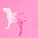 Campus Cotton&trade; Tee, Hollywood Pink, swatch