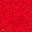 Wink Micro Thong Panty, Red Pepper, swatch