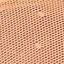 Wink Low-Rise Cheeky Panty, Angel Pink And Vitamin C, swatch