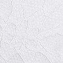 Wink Push-Up Balconette Bra, Optic White, swatch