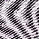 PINK Wink&trade; V-String Panty, Light Lilac, swatch