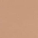 No-Show Thong Panty, Praline, swatch