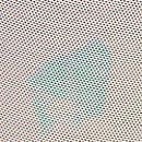 Mesh Hiphugger Panty, Frosted Iris Seashell Print, swatch