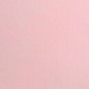No-Show Thong Panty, Boardwalk Pink, swatch