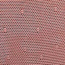 PINK Wink&trade; String Bikini Panty, Rose Taupe, swatch