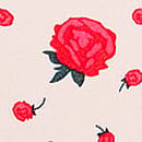 No-Show Cheeky Panty, Winter White Rose Floral, swatch