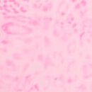 PINK Relay&trade; Flare Leggings, Pink Leopard, swatch