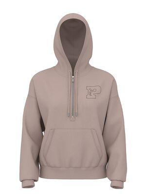 Ivy Fleece Campus Half-Zip Hoodie