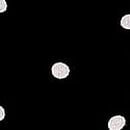 Cotton String Bikini Panty, Black Dot P Script Print, swatch