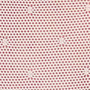 PINK Wink&trade; Cheeky Panty, Pink Tulip, swatch