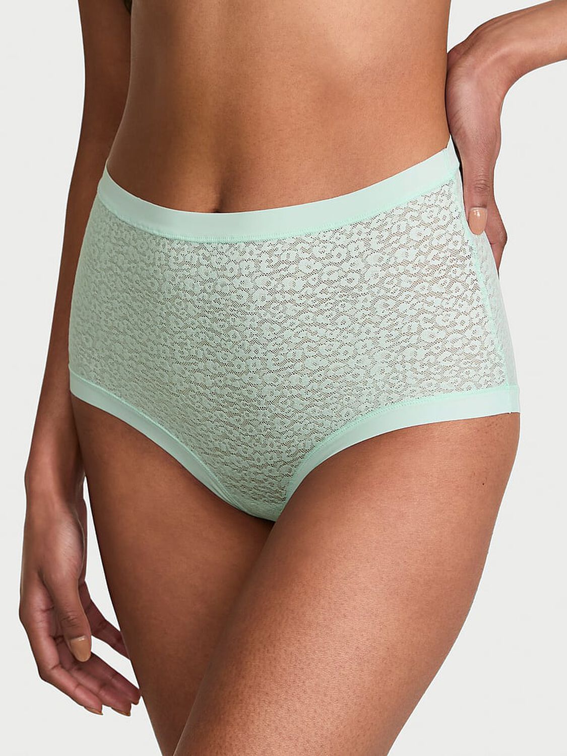 vs No-Show No-Show Leopard Lace Modern Brief Panty Yacht Blue 1 of 3 
