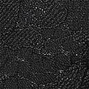Lace Push-Up Bra, Black, swatch