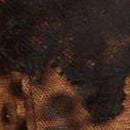 Wicked Sheer Unlined Lace-Trim Babydoll Set, Leopard, swatch