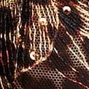 Geo Leo Embroidery Lightly Lined Bra Top, Shimmer Geo Leo, swatch