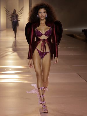 Sheer Shine Unlined Low-Cut Demi Bra