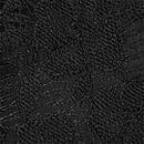 Twinkle Lace Triangle Bra, Black, swatch