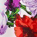 Lace Inset Robe, White Rose Floral, swatch