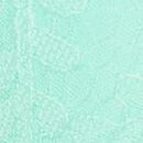 Lace Lightly Lined Classic Coverage Demi Bra, Waterfall, swatch