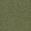 Sunset Ombre Shine Strap Brazilian Panty, Woodland Green, swatch