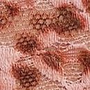 Lace Cheeky Panty, Angel Pink Leopard, swatch