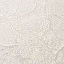 Lace Lightly Lined Classic Coverage Demi Bra, Coconut White, swatch