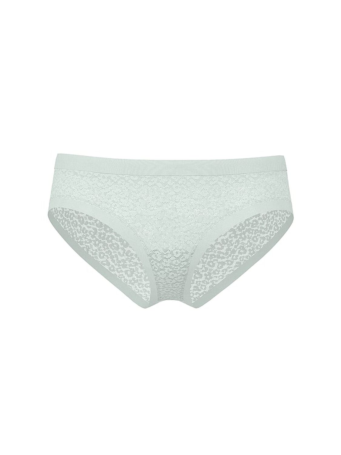 vs No-Show No-Show Leopard Lace Cheeky Panty Yacht Blue 3 of 3 