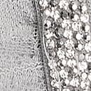 Rose Lace Gradient Shine Bandeau Bra, Sterling, swatch