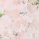 Lace Thong Panty, Purest Pink Floral, swatch