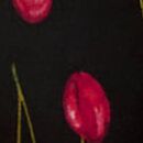 Rose Lace-Trim High-Leg Cheeky Panty, Black Cherries, swatch